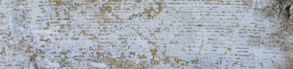 12x60_renkli_ahsğap_2