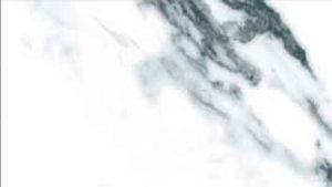 25x50-valeria-Plata 2