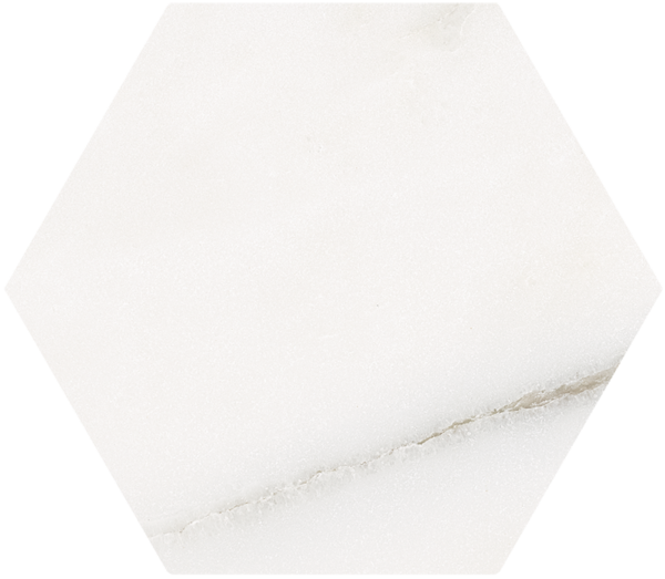 CALACATTA-MAJESTIC-Hex-20X25-27PG