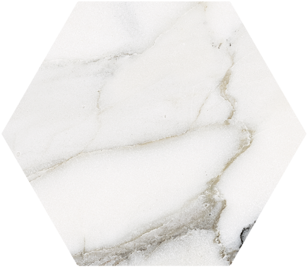 CALACATTA-MAJESTIC-Hex-20X25-28PG