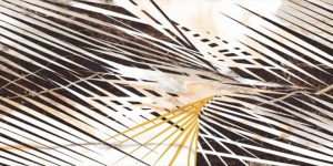 Гранитогрес Calacatta Gold Decor A 60x120