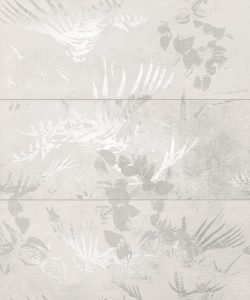 DS-3-el-Tasmania-898x748