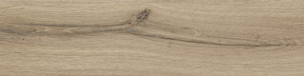 dublin almond 15,5×62 (6)