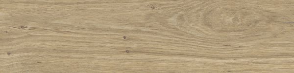 dublin beige 15,5×62 (5)