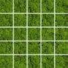 green-moss-mosaic-24,8x24,8