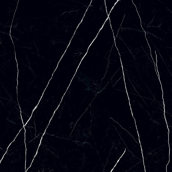 PP-Black-Pulpis-POL-1198×1198-3