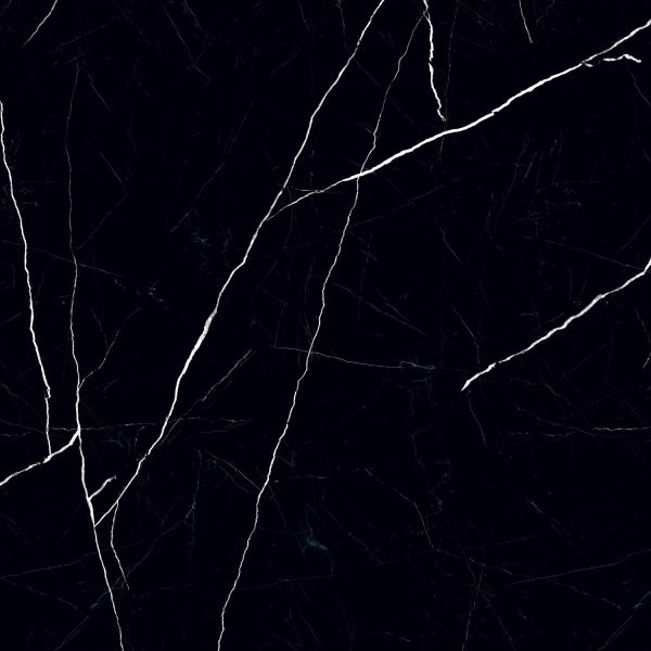 PP-Black-Pulpis-POL-1198×1198-4