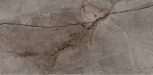 root-ash-60x120-random-face-1