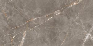 Shinestone Grey-Pol-59