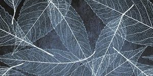 Tampa-Blue-Inserto-1-30x60-rect