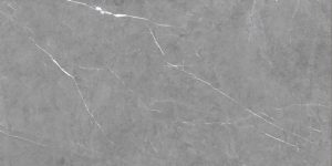 TESSINO_GREY_NATURAL 60x120