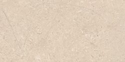 Modena Bone 30x60