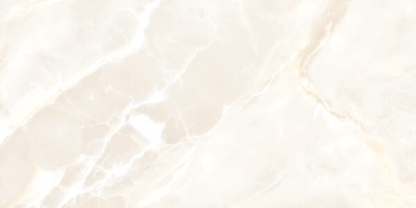 Margo Onyx Natural 60×120 Face2