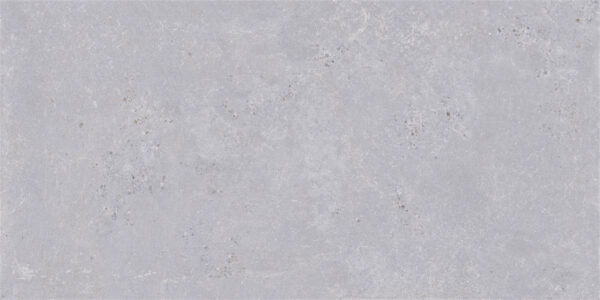 Walk matt grey 2 60×120