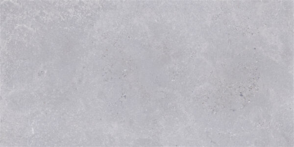 Walk matt grey 60×120