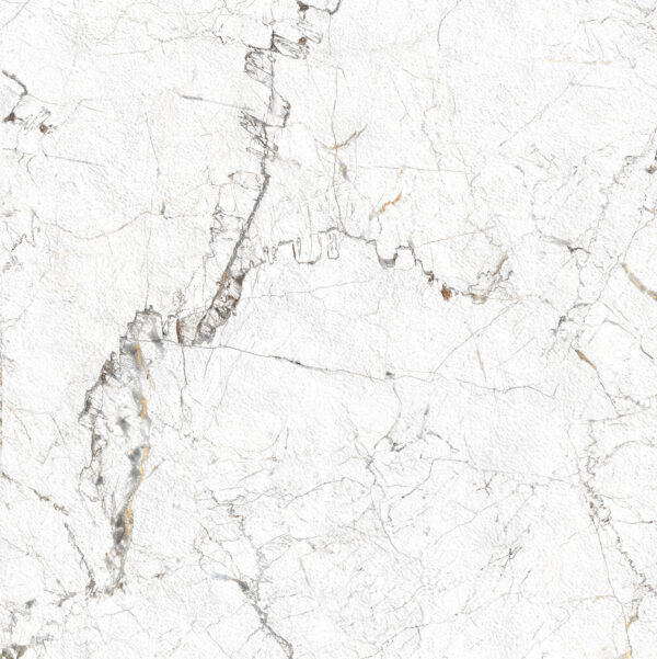 PP-Veneto-white-598-598-f (3)