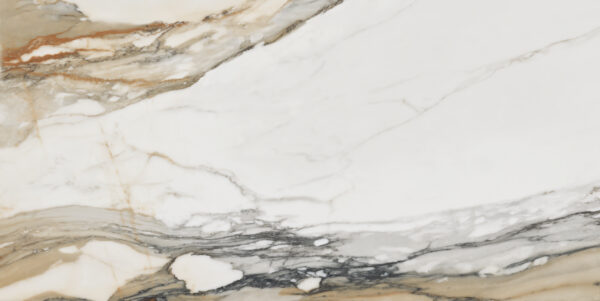 calacatta gold 60×120 (2)