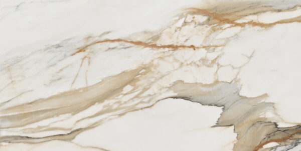 calacatta gold 60×120 (4)