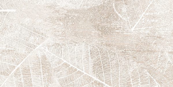 DG-Clarity-leaves-A-2el1