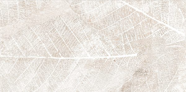 DG-Clarity-leaves-A-2el2