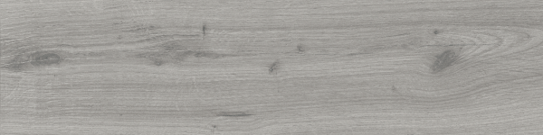 dublin soft grey 15,5×62 (4)