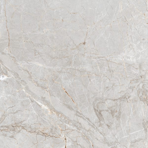 ALEXA SILVER_(AP_GL4209_4)_60X60_R3