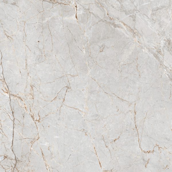 ALEXA SILVER_(AP_GL4209_4)_60X60_R4