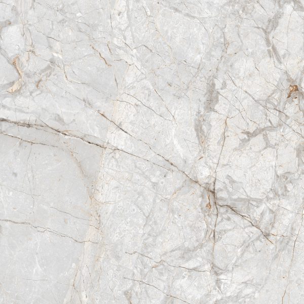 ALEXA SILVER_(AP_GL4209_4)_60X60_R6