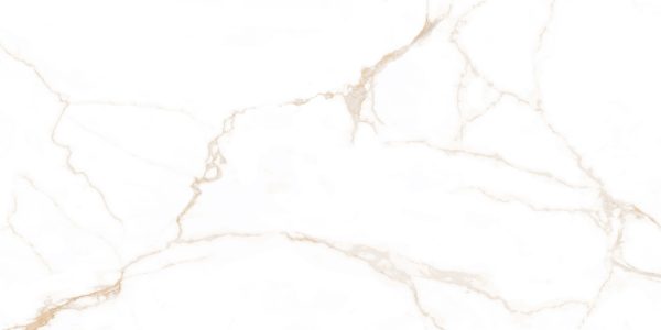 Pristine Gold_60X120_Face10