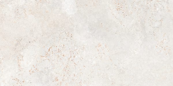 PROZZON MINT_R1_(SPNC)