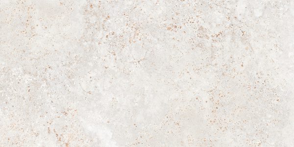 PROZZON MINT_R2_(SPNC)