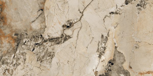 PATAGONIA CAMEL_(AP_Y7120)_R2