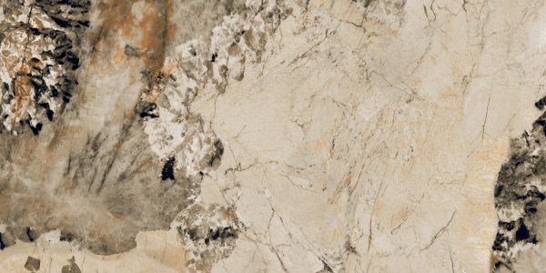 PATAGONIA CAMEL_(AP_Y7120)_R4