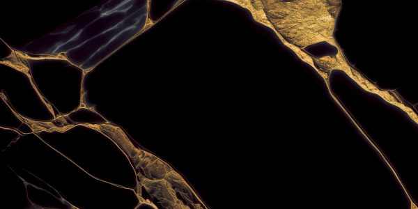 SWRIL GOLD_(SWI-GL-101)_R2