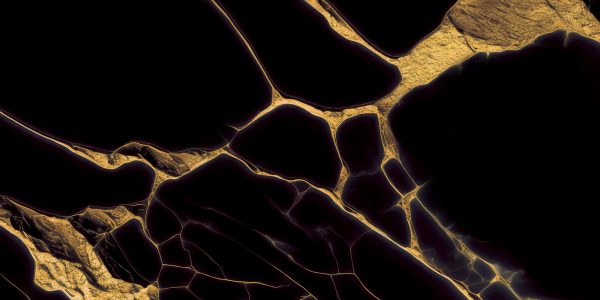 SWRIL GOLD_(SWI-GL-101)_R4